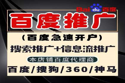 竞价推广实战：经典案例深度解析